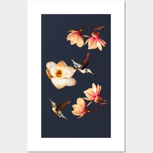 Magnolias and Hummingbirds Posters and Art